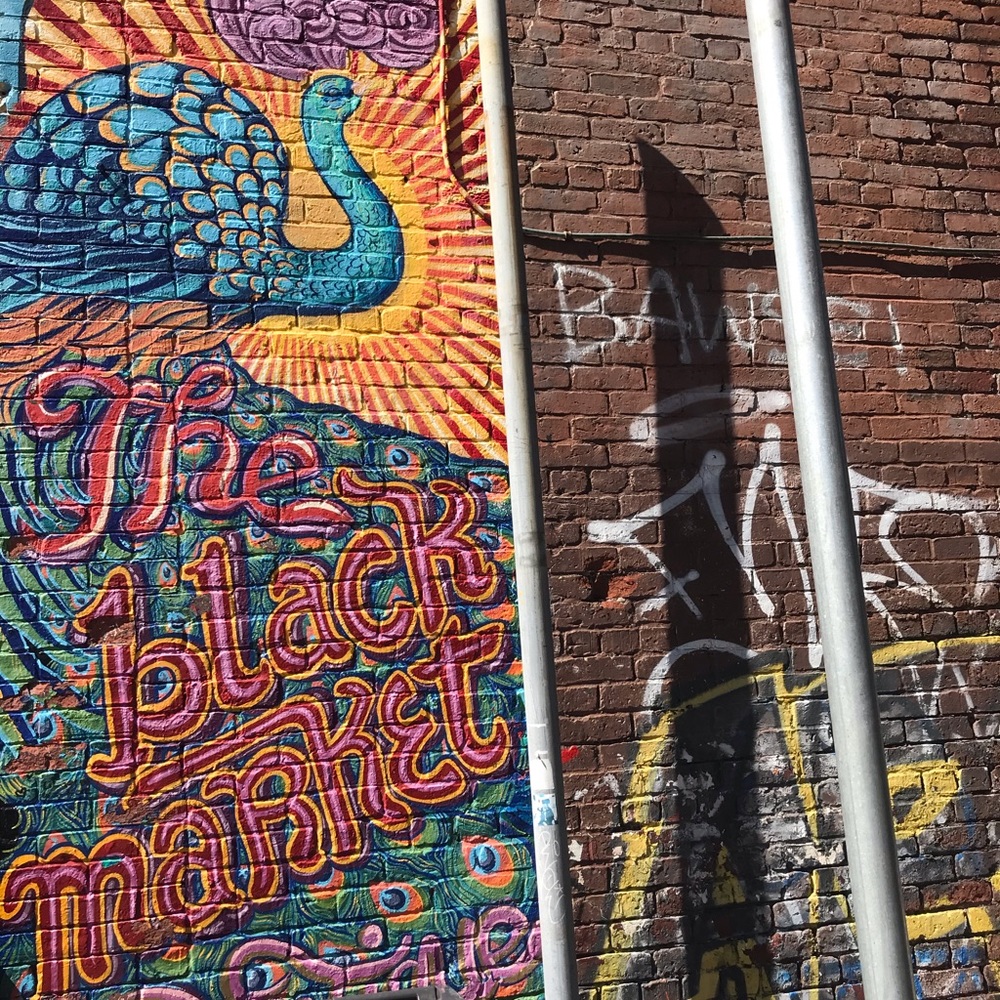 Meet your Posher, Alex